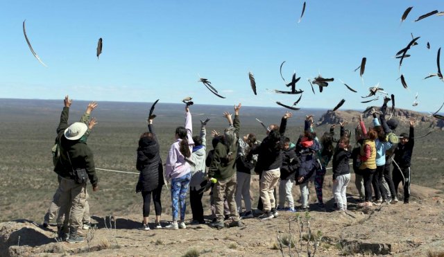 condor