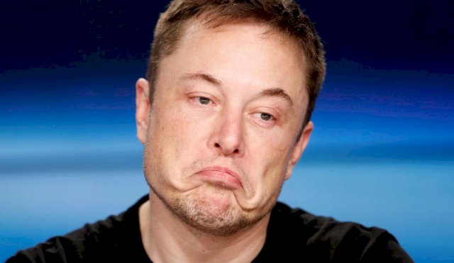 elon musk tw