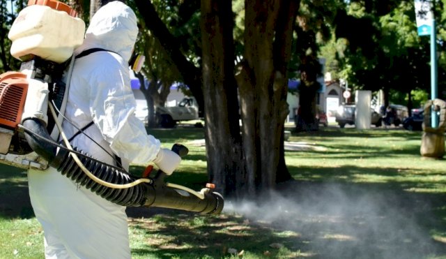 ALERTA DENGUE 