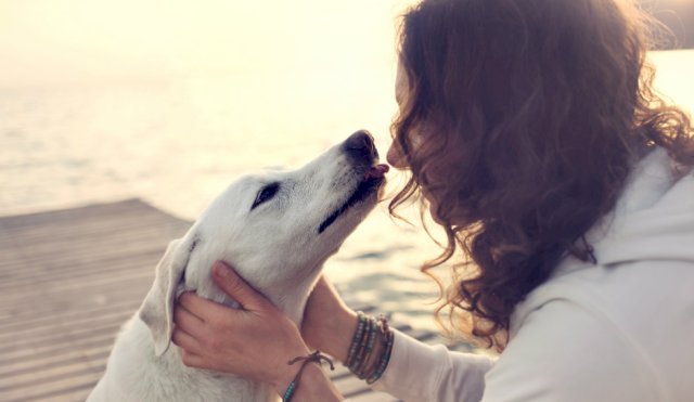 Interactuar con perros reduce el estrés y aumenta la concentración