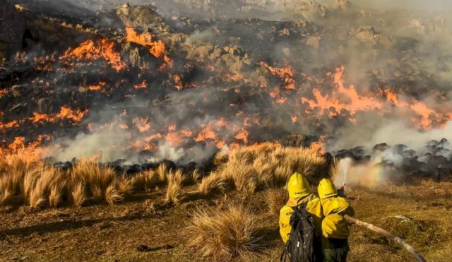 INCENDIOCORDOBADETENIDOS